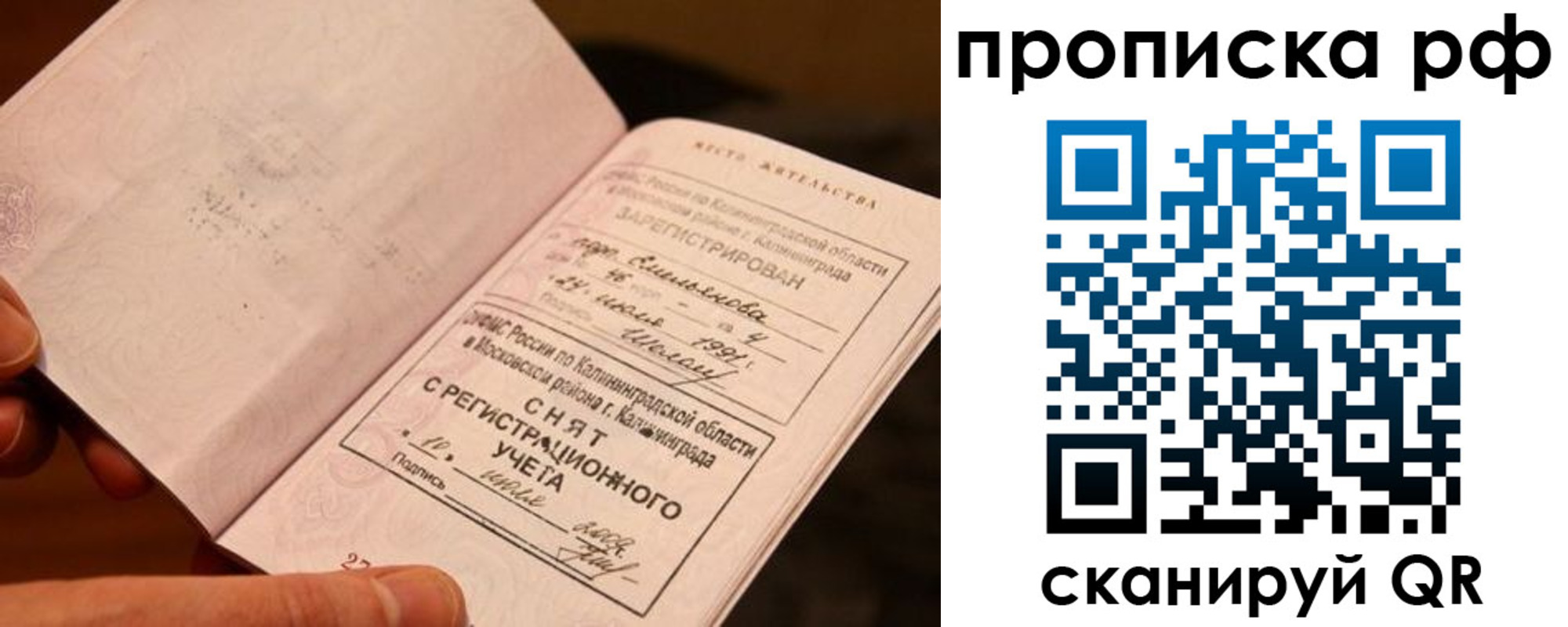 прописка гарантия в Гагарине